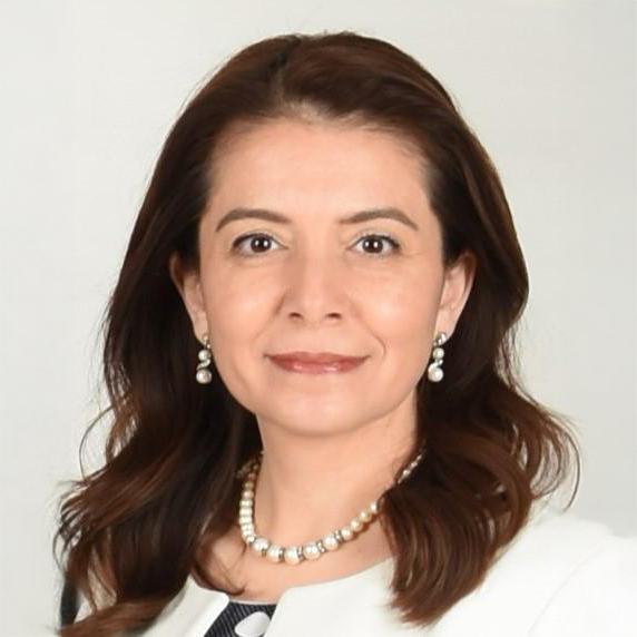 Dr. Didem ÇOLPAN ÖKSÜZ